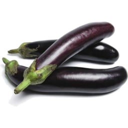 Egg Plant Long min. 500g