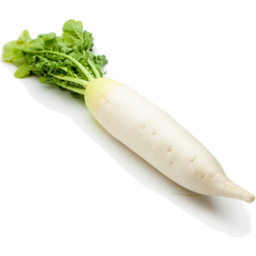 Radish - White Each