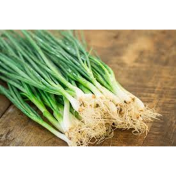 Spring Onion Each