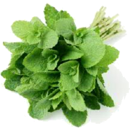 Mint 1 Bunch