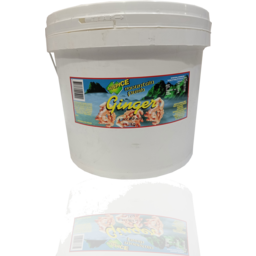 Auspice Ginger Paste 10kg