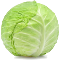 Cabbage Full