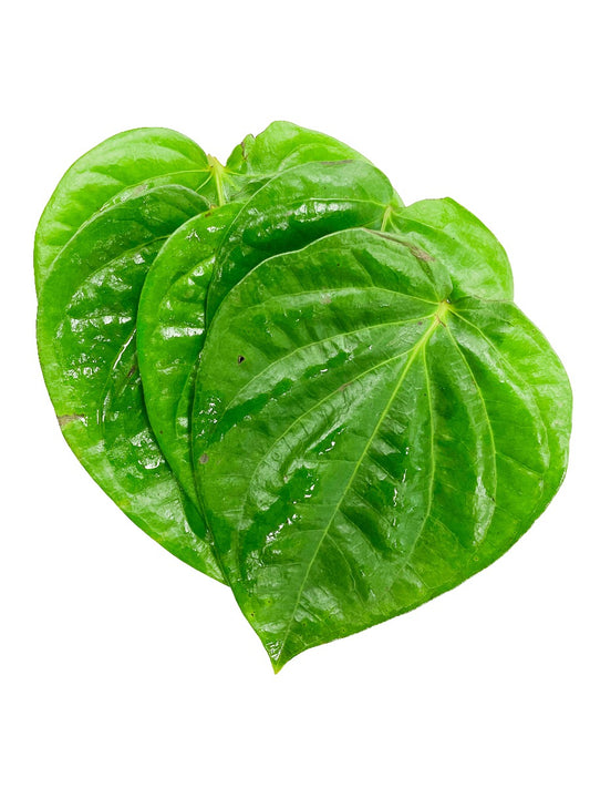 Pooja Paan or Betel Leaves 10.Nos
