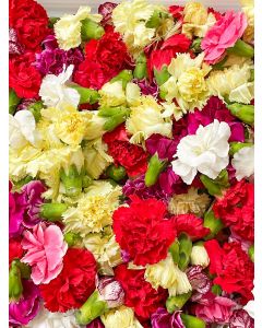 Pooja Flowers 200g pkt (Carnation Heads)