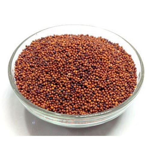 PSK Ragi Seeds 1kg
